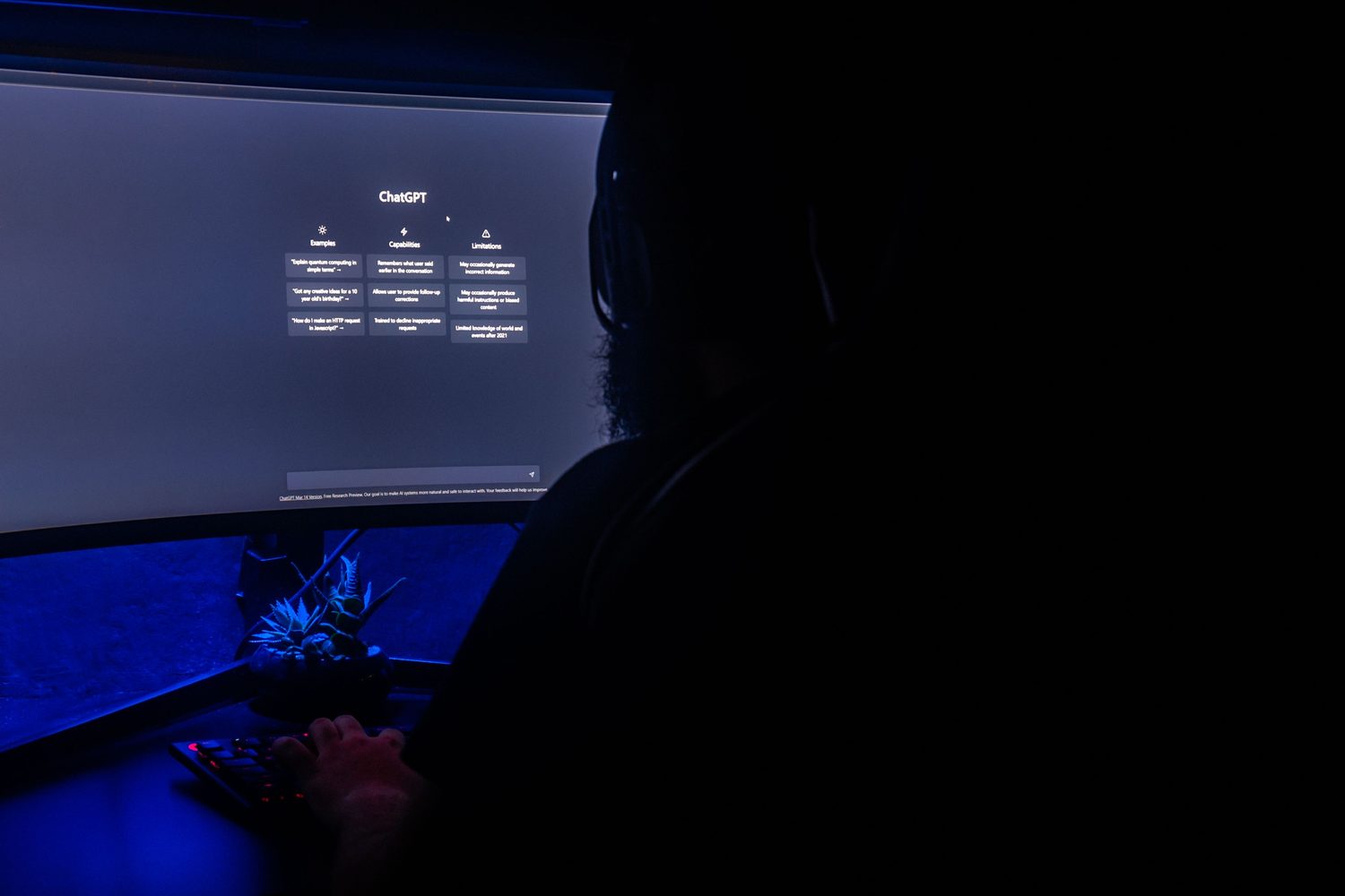 A person using an AI interface on a computer